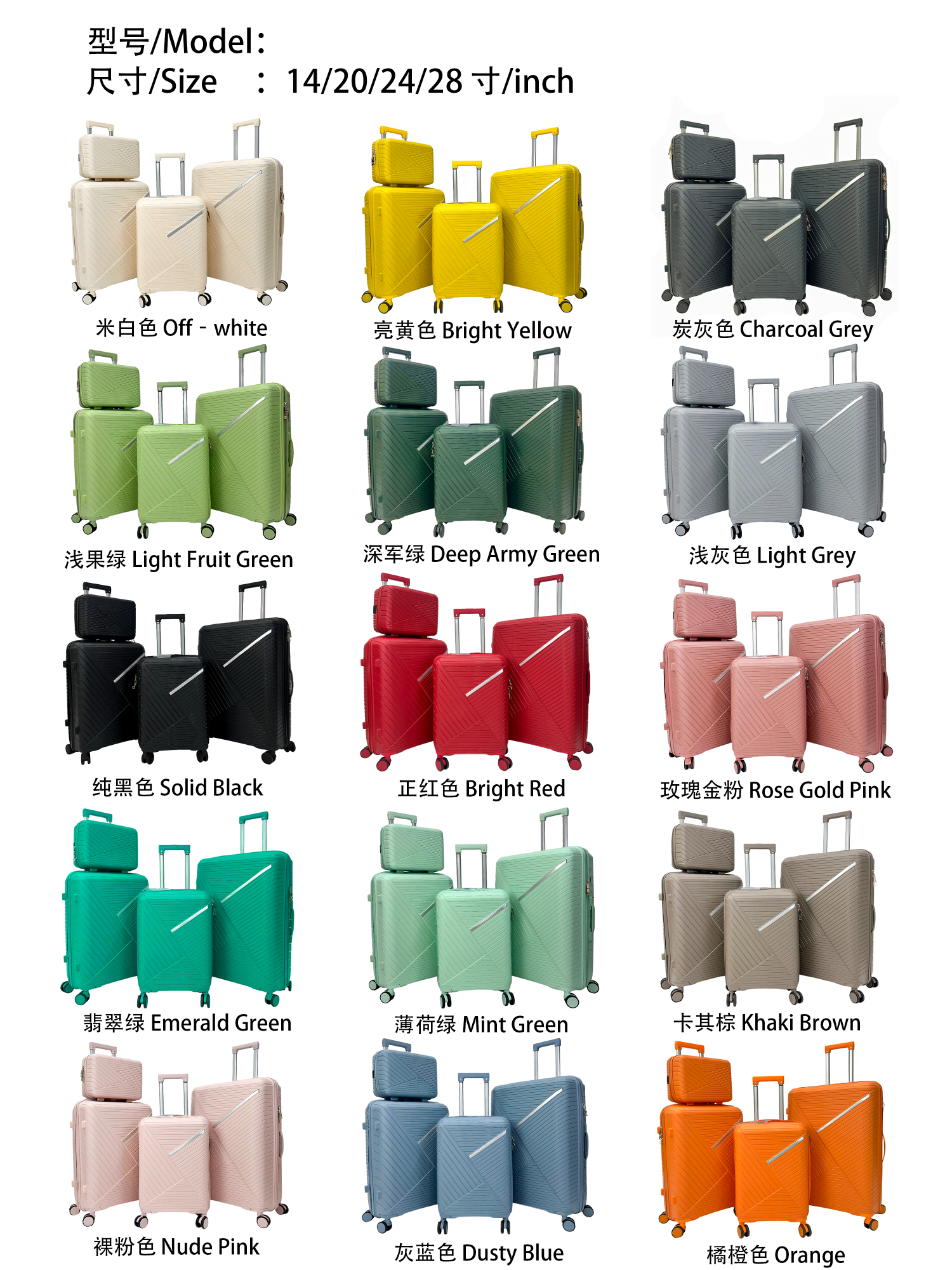 Luggage color card