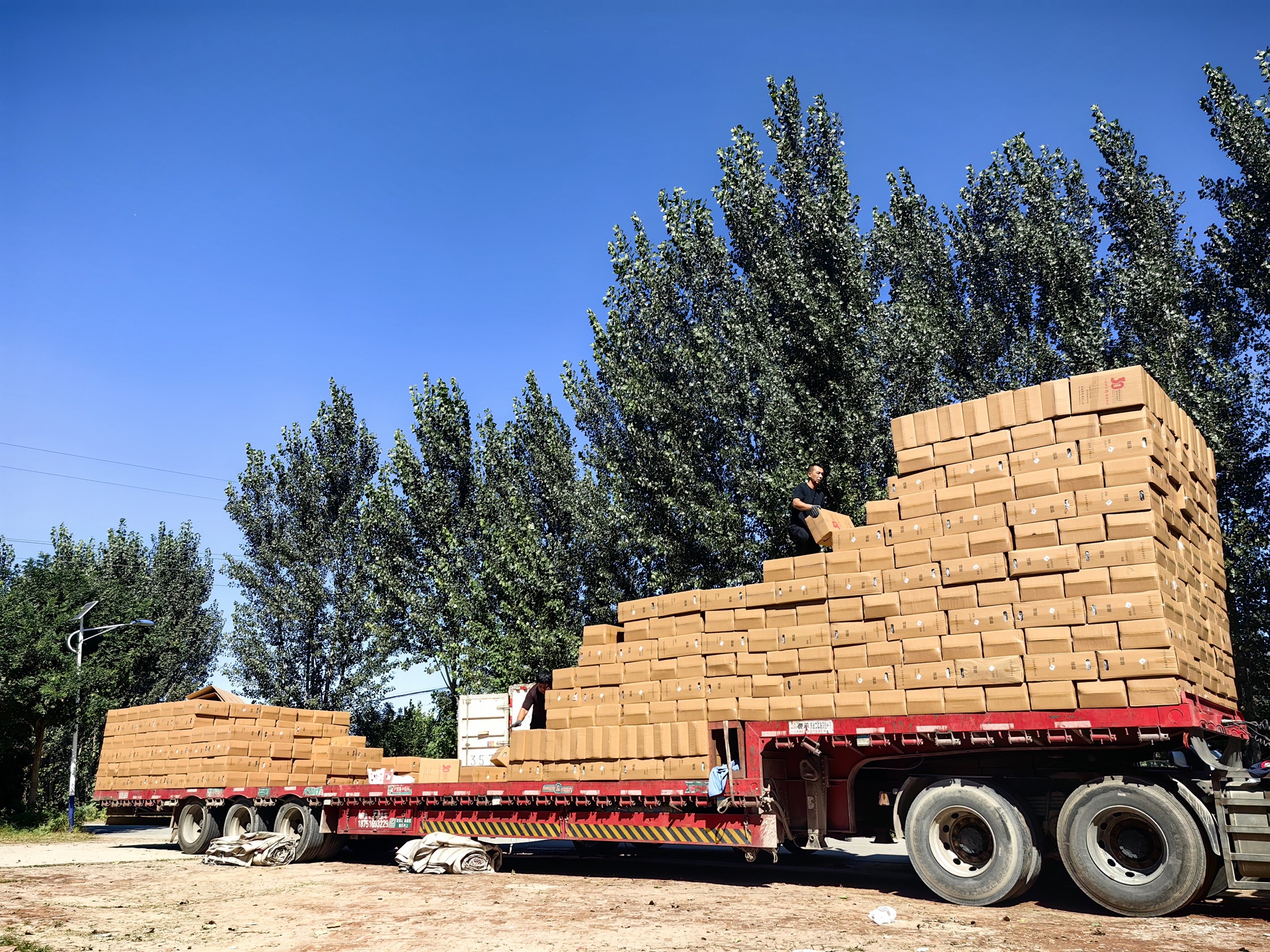 Bulk cartons being loaded